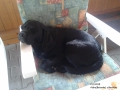 Aisha_1